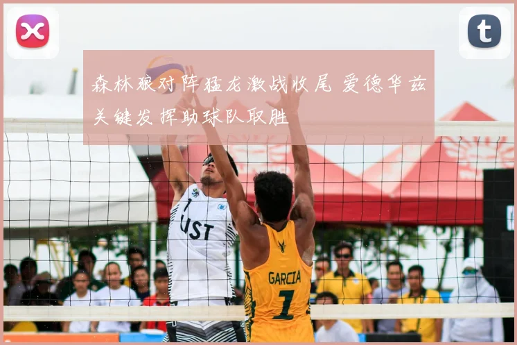 森林狼对阵猛龙激战收尾 爱德华兹关键发挥助球队取胜
