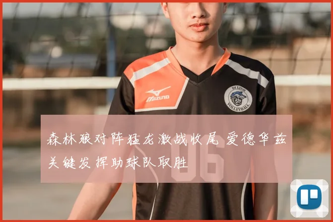 森林狼对阵猛龙激战收尾 爱德华兹关键发挥助球队取胜