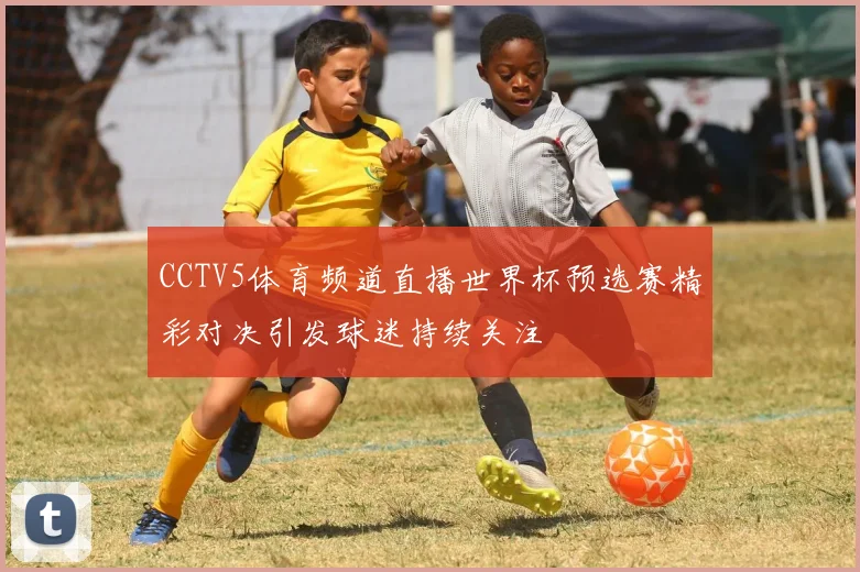 CCTV5体育频道直播世界杯预选赛精彩对决引发球迷持续关注