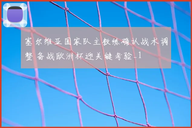 塞尔维亚国家队主教练确认战术调整 备战欧洲杯迎关键考验_1