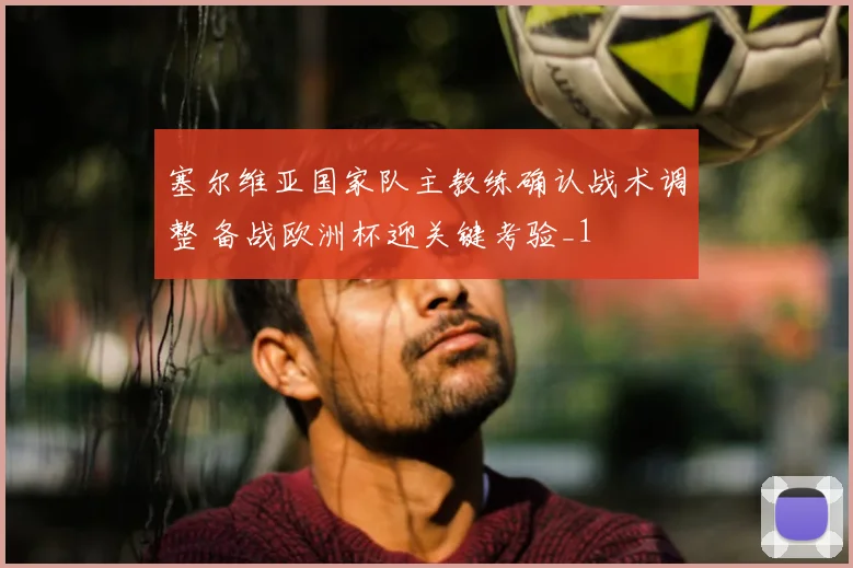 塞尔维亚国家队主教练确认战术调整 备战欧洲杯迎关键考验_1