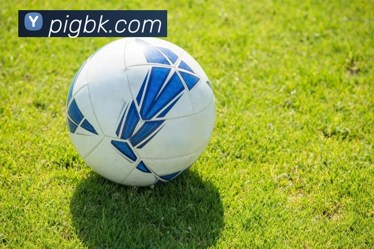 在线买世界杯平台发展历程